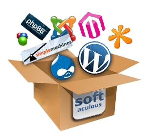 Install a Wordpress blog or other CMS and much more in 1 click. No knowledge required. More than 320 applications available!